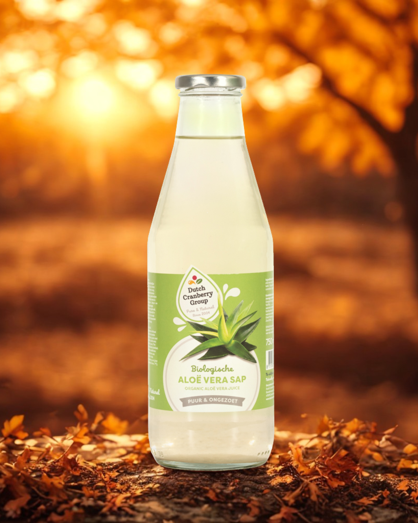 Bottle of Dutch Cranberry Group organic aloe vera juice on autumn leaves with warm sunlight